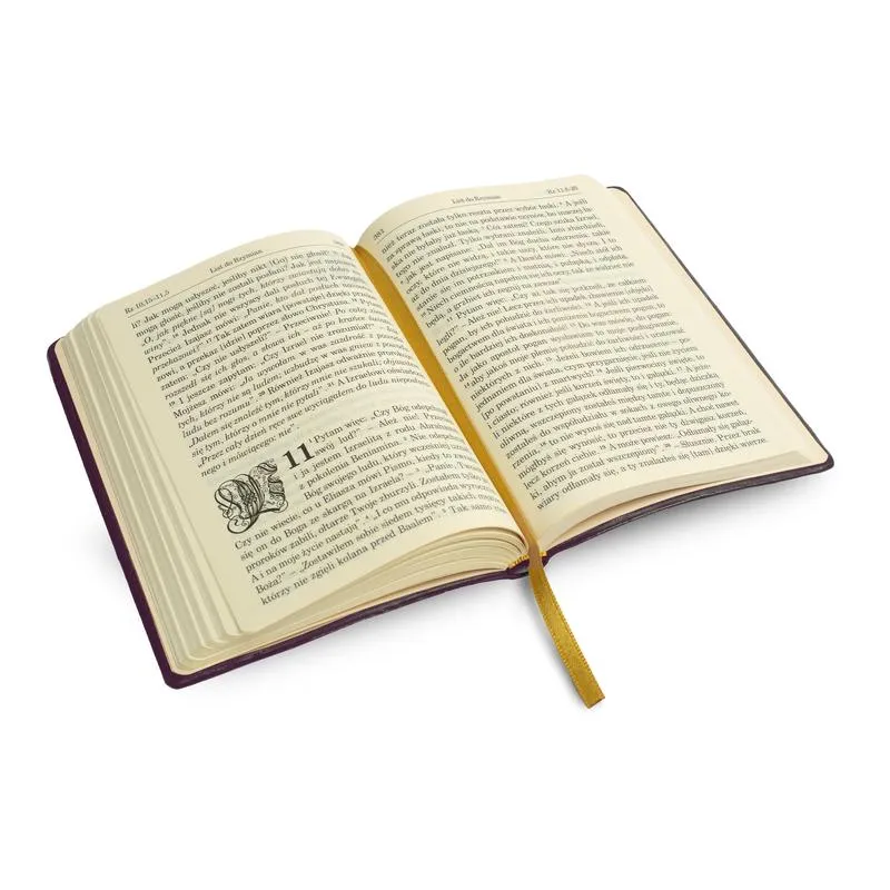 Jaką Biblię wybrać, by najlepiej pasowała do Twoich potrzeb?