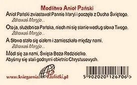 Jaką prośbę składa modlitwa Anioł Pański?