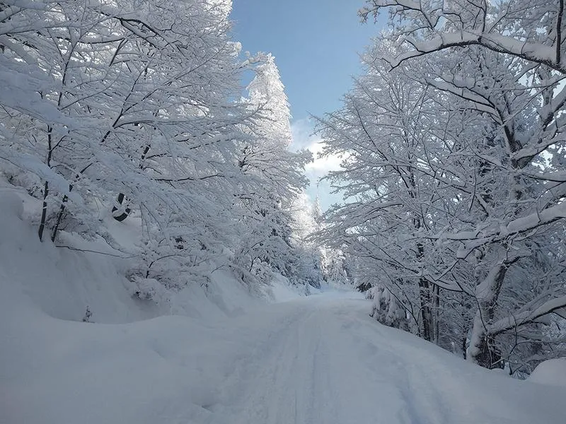 Bieszczady na święta