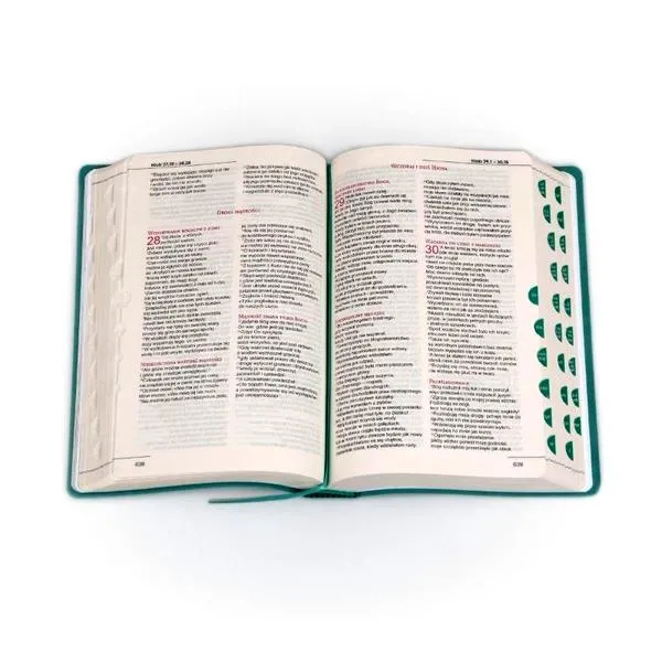 Codzienne czytanie Biblii