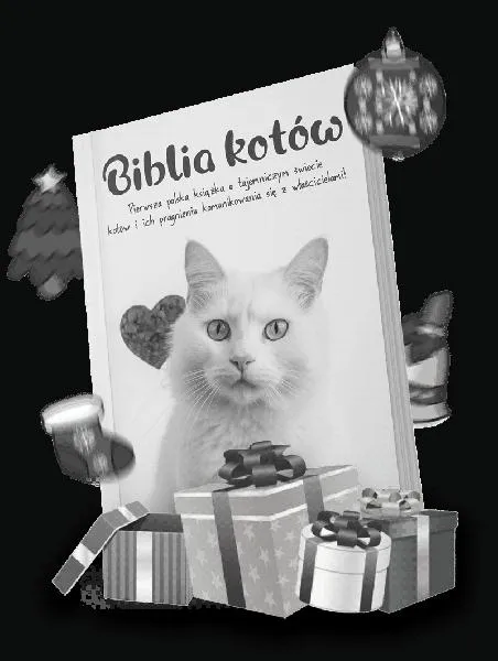 Czytanie Ewangelii w Wigilię