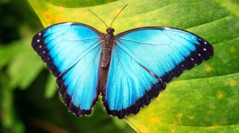 Duchowość w trudnych chwilach