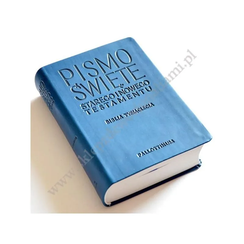 Egzegeza i hermeneutyka biblijna