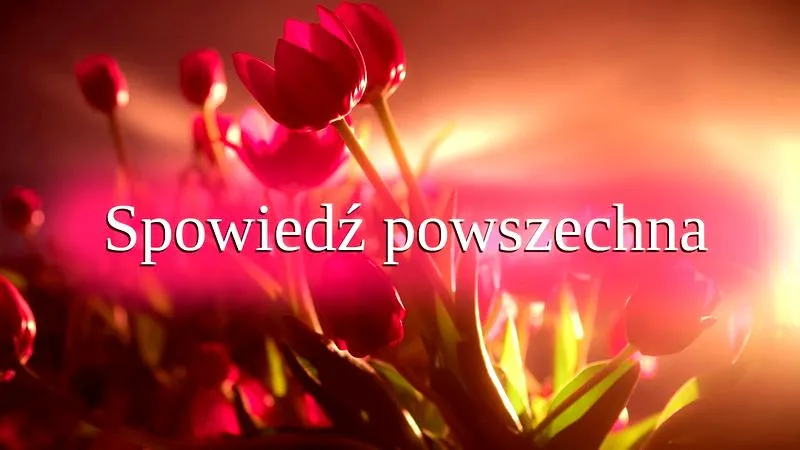 Znaczenie spowiedzi dla wiernych